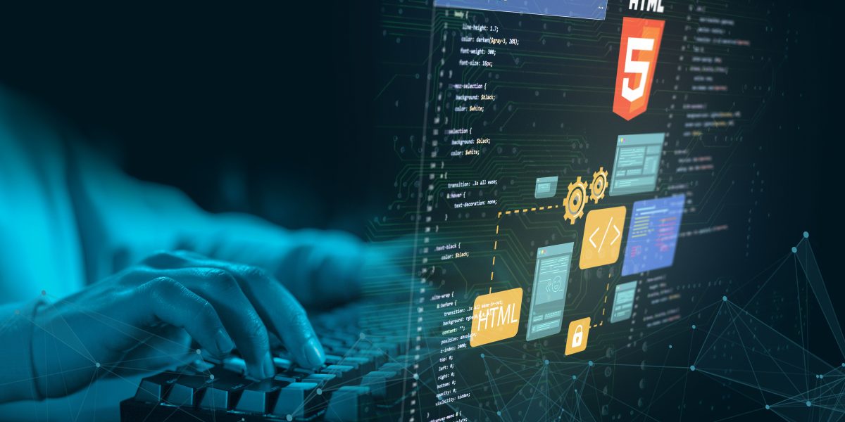 Custom Software Development for Niche Markets: A Guide